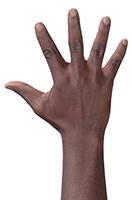 Retopologized 3D Hand scan Ghalen Wilson Black male